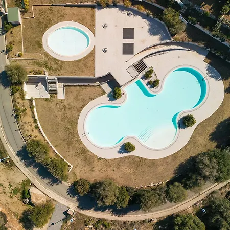 Daisy 夸尔图-圣埃莱娜